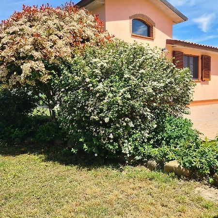 Montepulciano - La Casetta Del Pian Delle Noci Acquaviva  Exteriér fotografie