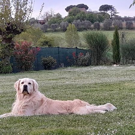 Montepulciano - La Casetta Del Pian Delle Noci Acquaviva  Exteriér fotografie