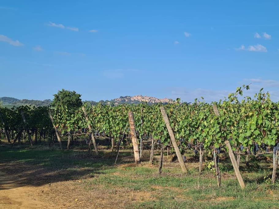 Montepulciano - La Casetta Del Pian Delle Noci Acquaviva  Exteriér fotografie