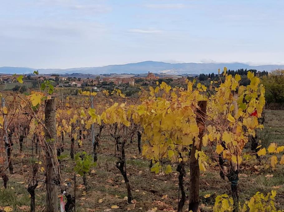 Montepulciano - La Casetta Del Pian Delle Noci Acquaviva  Exteriér fotografie