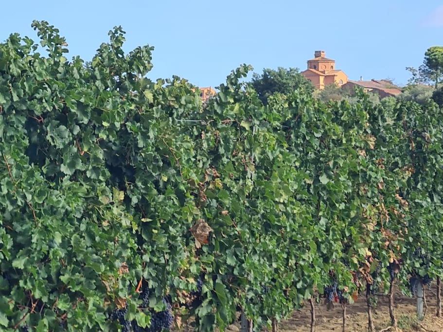Montepulciano - La Casetta Del Pian Delle Noci Acquaviva  Exteriér fotografie