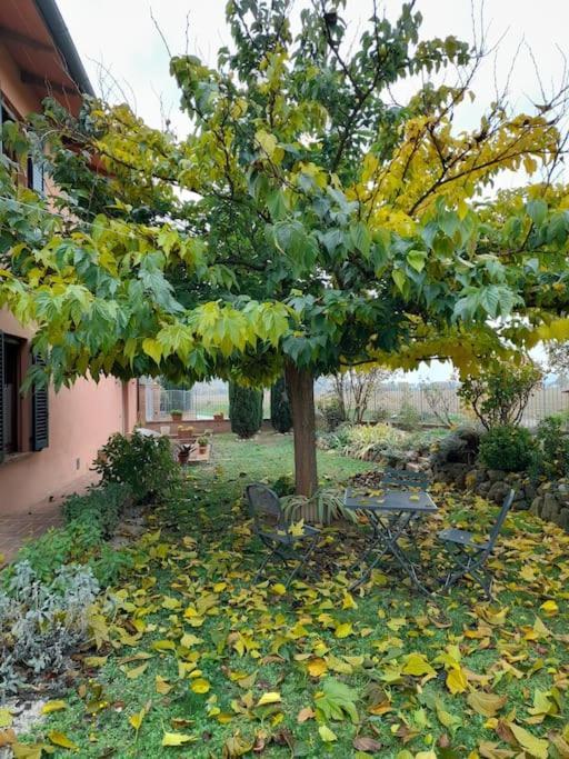 Montepulciano - La Casetta Del Pian Delle Noci Acquaviva  Exteriér fotografie