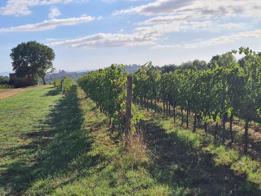 Montepulciano - La Casetta Del Pian Delle Noci Acquaviva  Exteriér fotografie