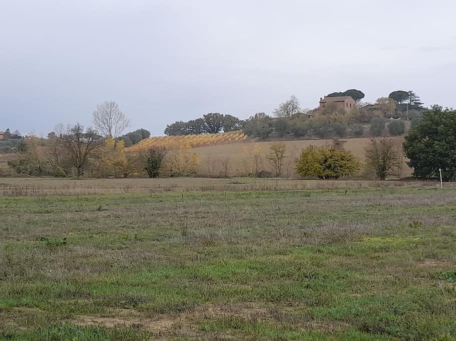 Montepulciano - La Casetta Del Pian Delle Noci Acquaviva  Exteriér fotografie