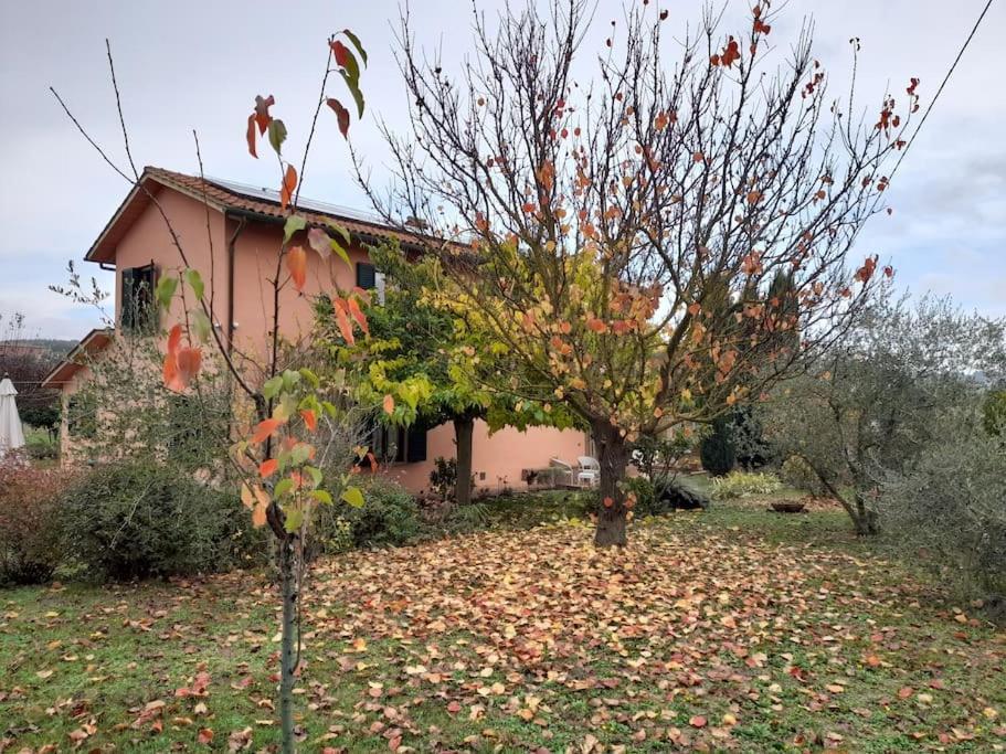 Montepulciano - La Casetta Del Pian Delle Noci Acquaviva  Exteriér fotografie