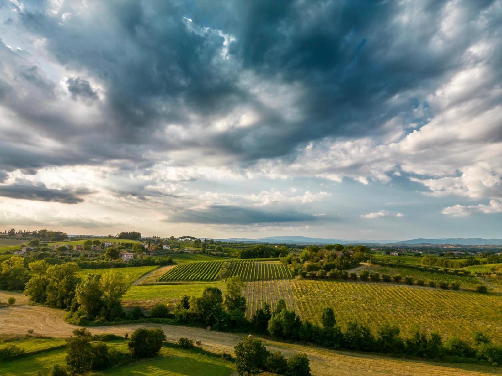 Montepulciano - La Casetta Del Pian Delle Noci Acquaviva  Exteriér fotografie