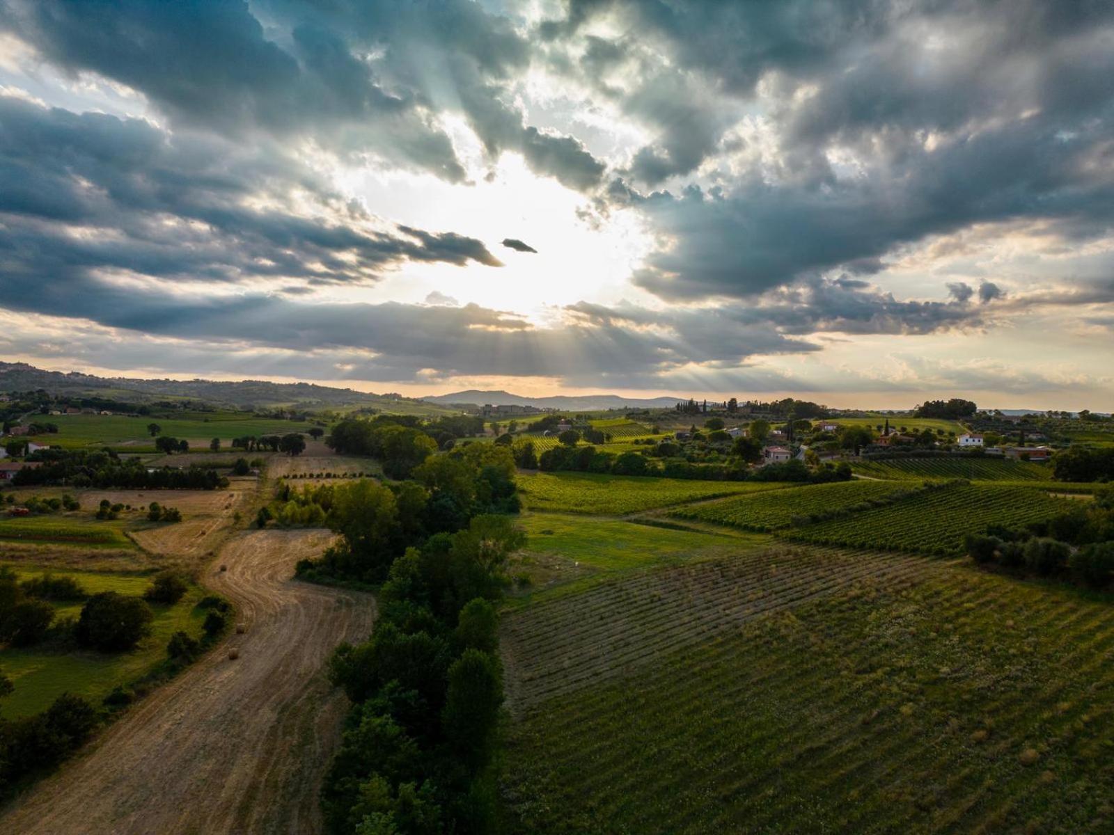Montepulciano - La Casetta Del Pian Delle Noci Acquaviva  Exteriér fotografie