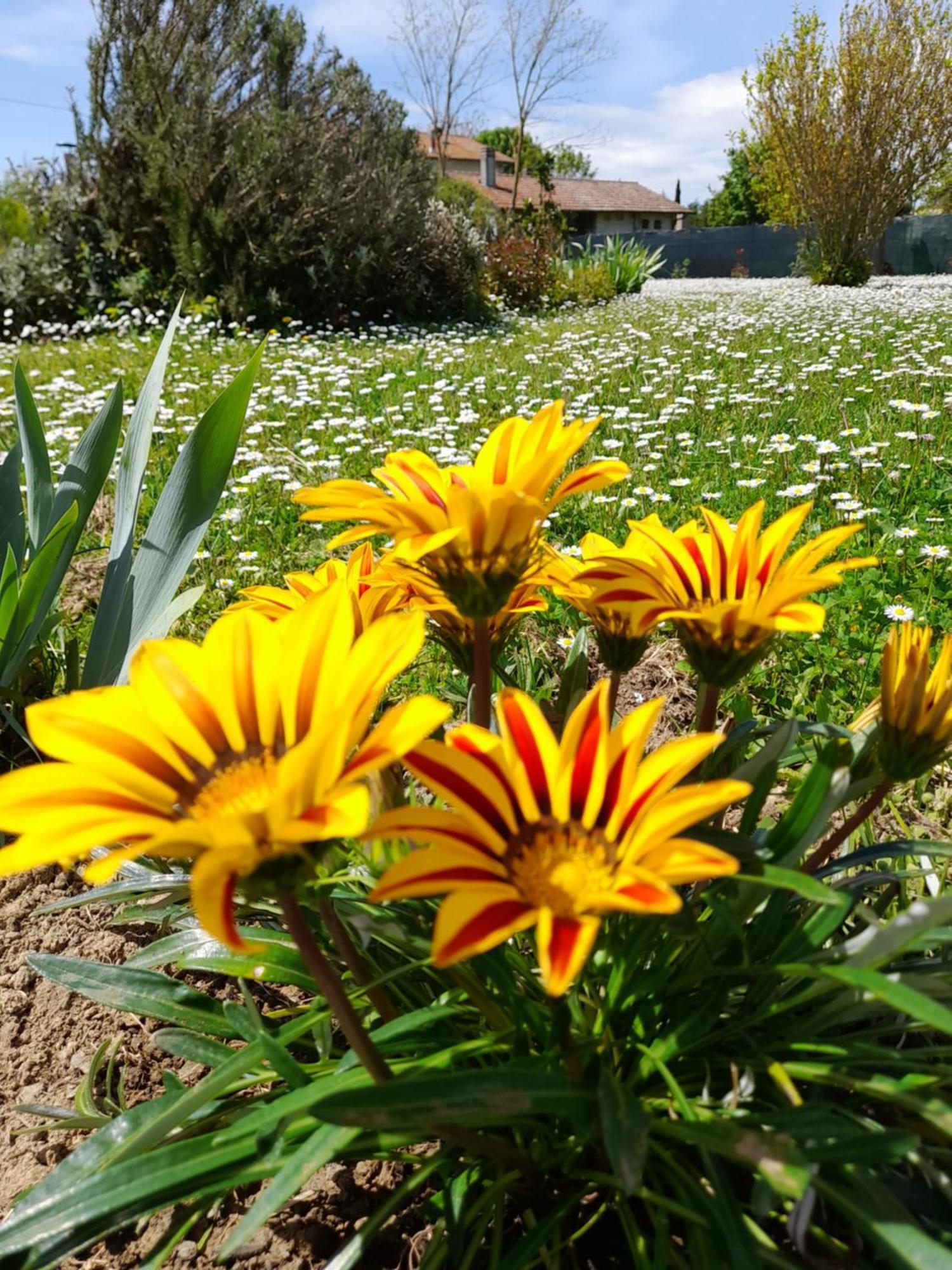 Montepulciano - La Casetta Del Pian Delle Noci Acquaviva  Exteriér fotografie