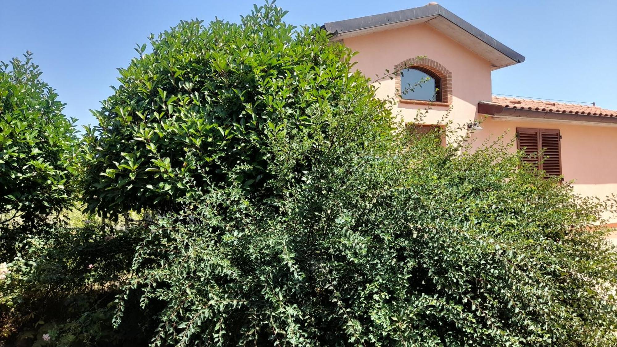Montepulciano - La Casetta Del Pian Delle Noci Acquaviva  Exteriér fotografie