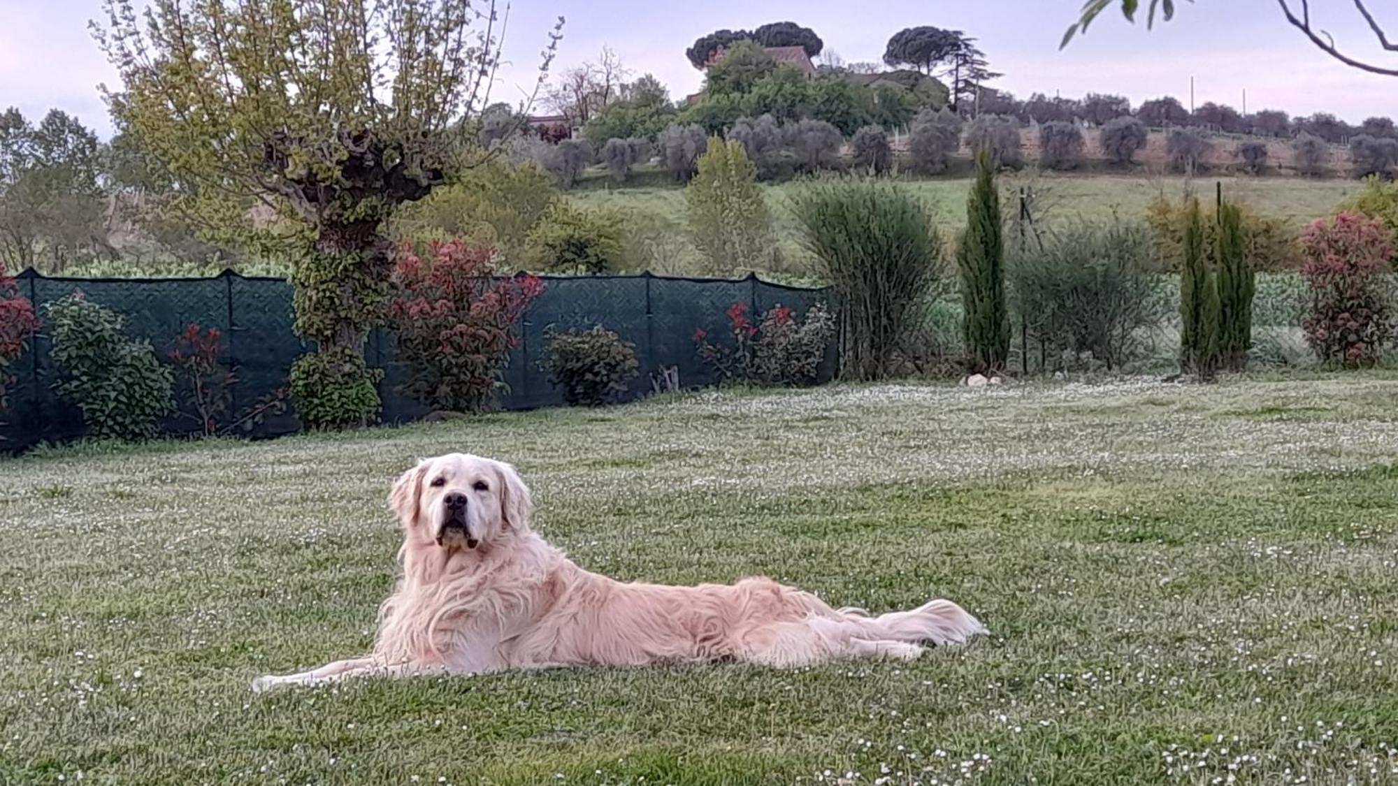 Montepulciano - La Casetta Del Pian Delle Noci Acquaviva  Exteriér fotografie